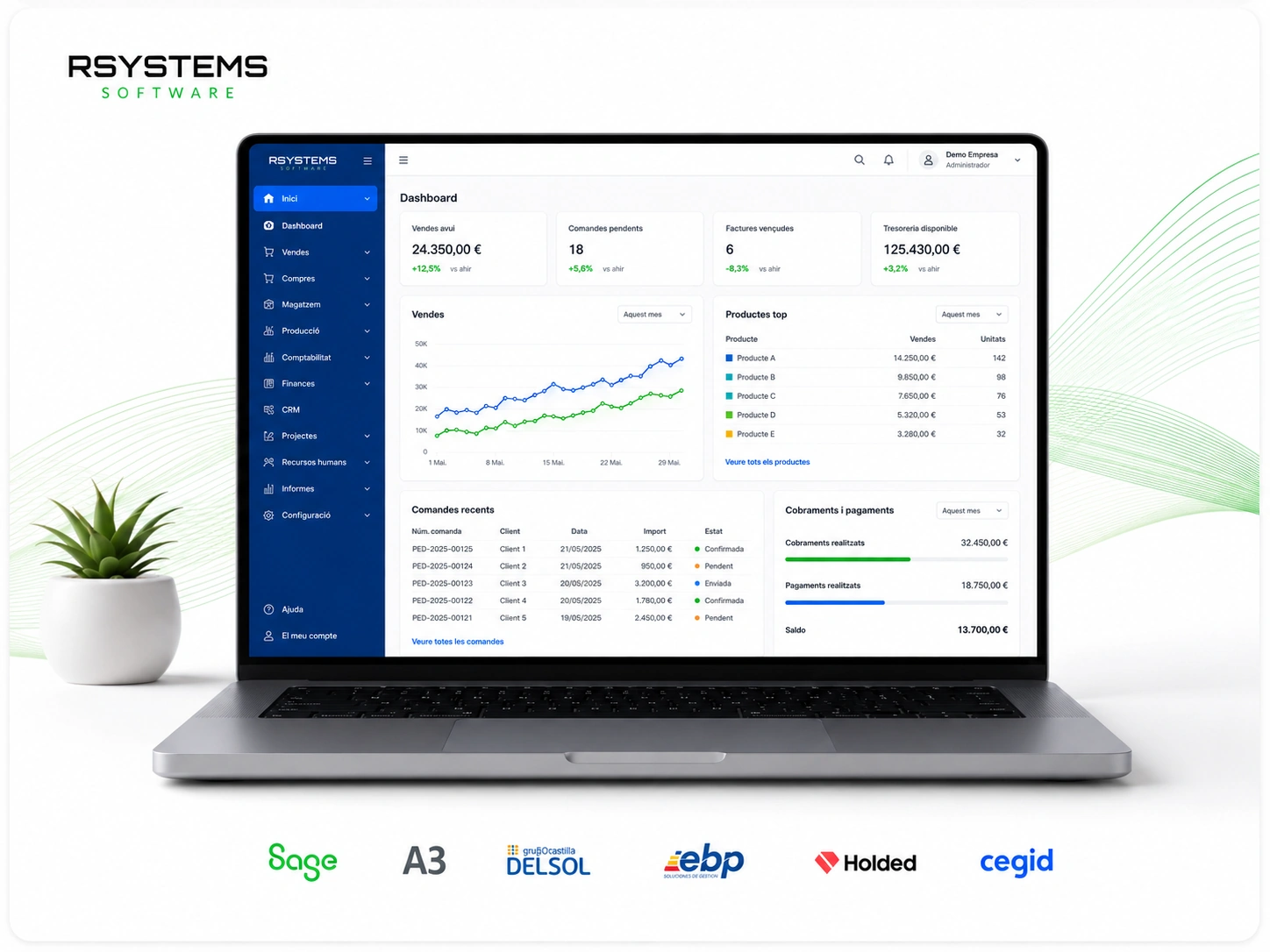 ERP i software de gestió empresarial